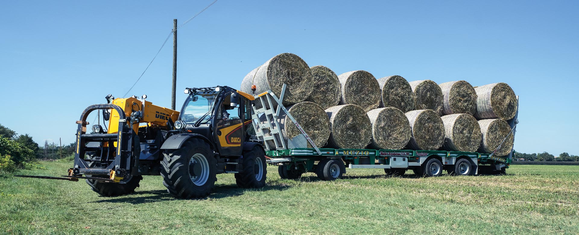 Telehandler for breeding